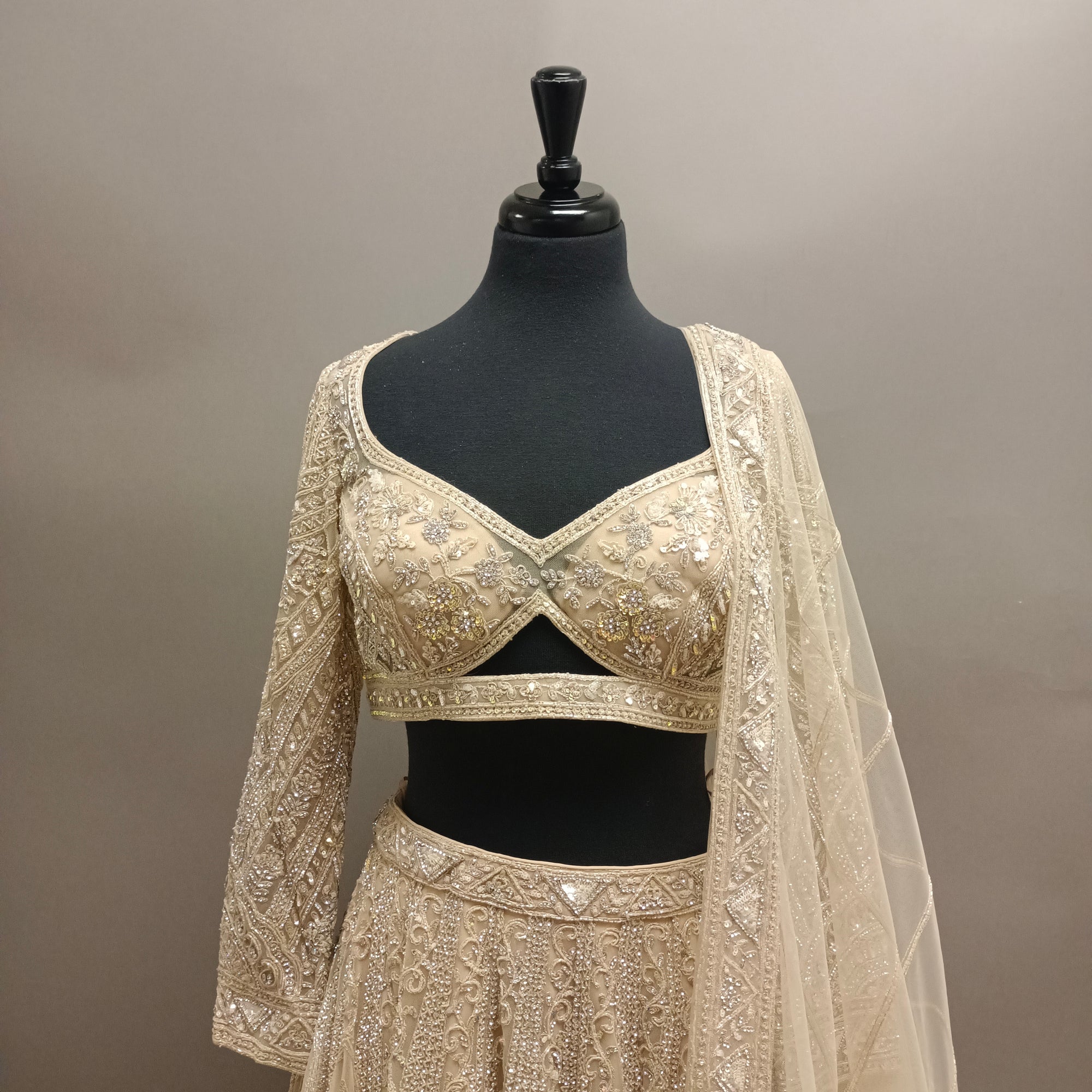 Divine Lehenga with Full Sleeves