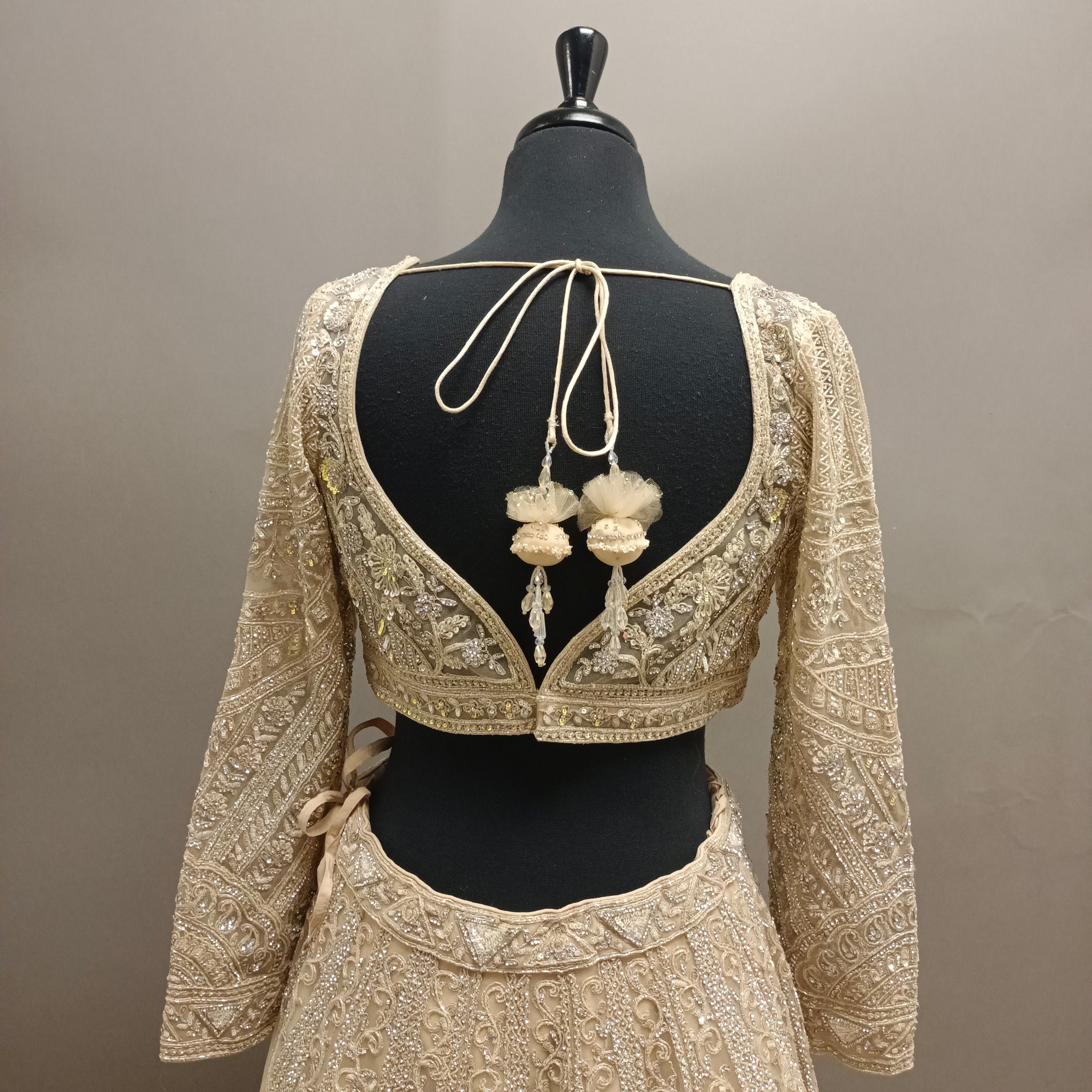 Divine Lehenga with Full Sleeves