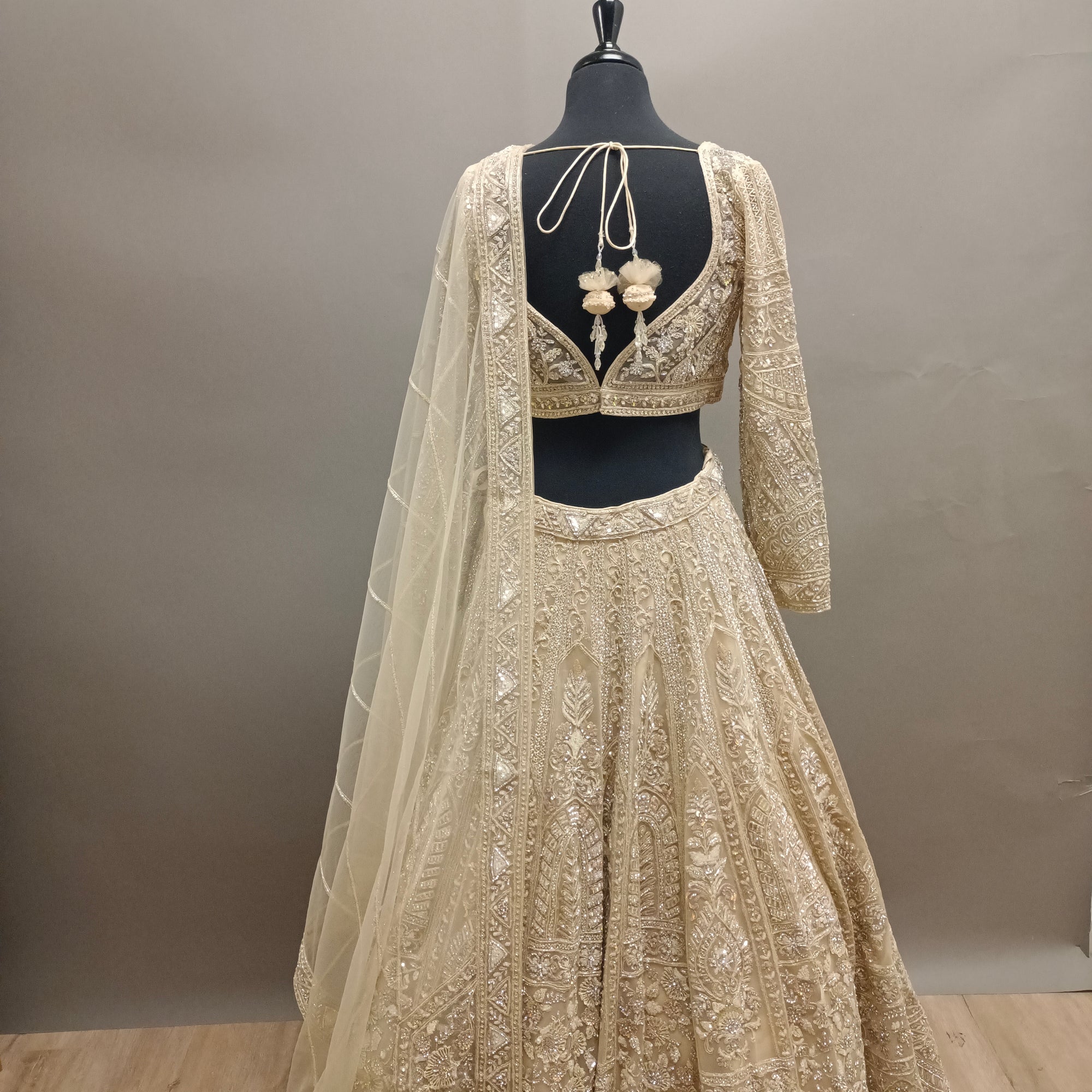 Divine Lehenga with Full Sleeves