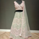 Radiant Feather Lace Delight Lehenga