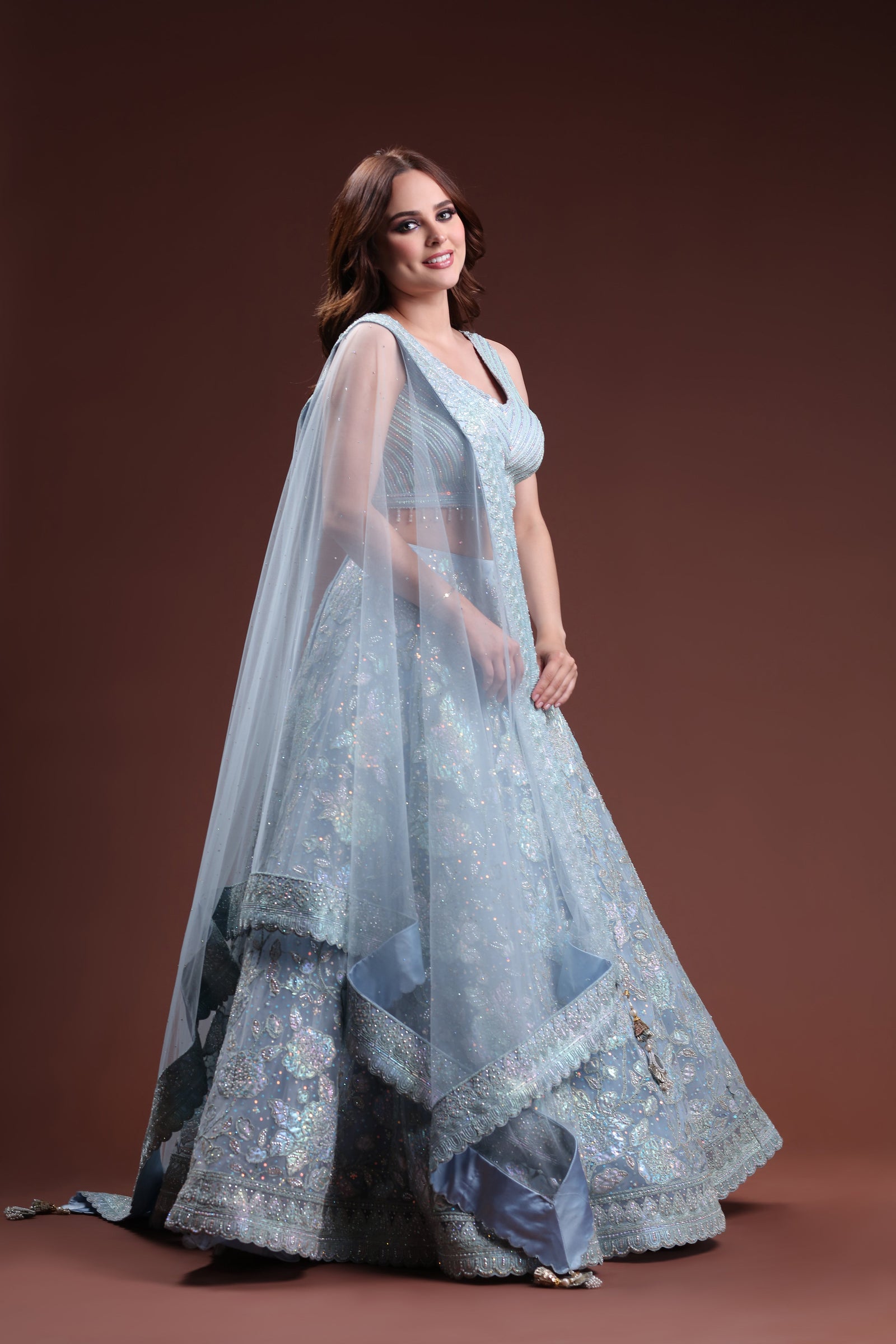 Enchanting Moonlight Lehenga