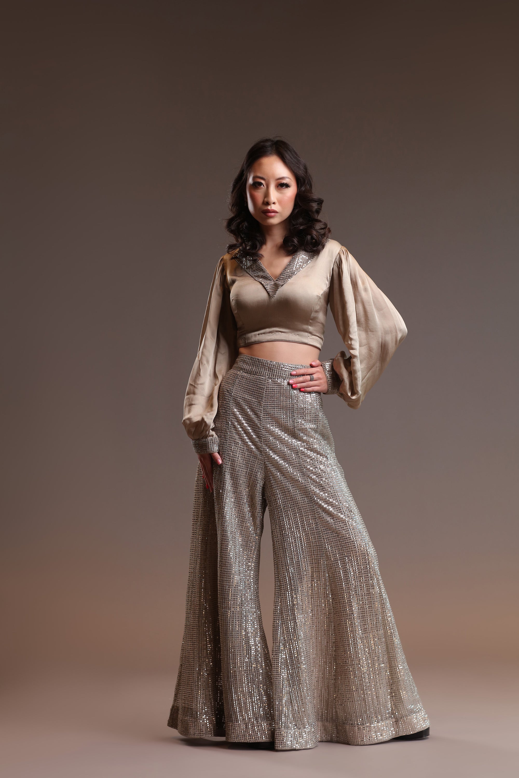 Shimmery Palazzo Pants with Crop Top