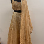 Shine So Bright Lehenga