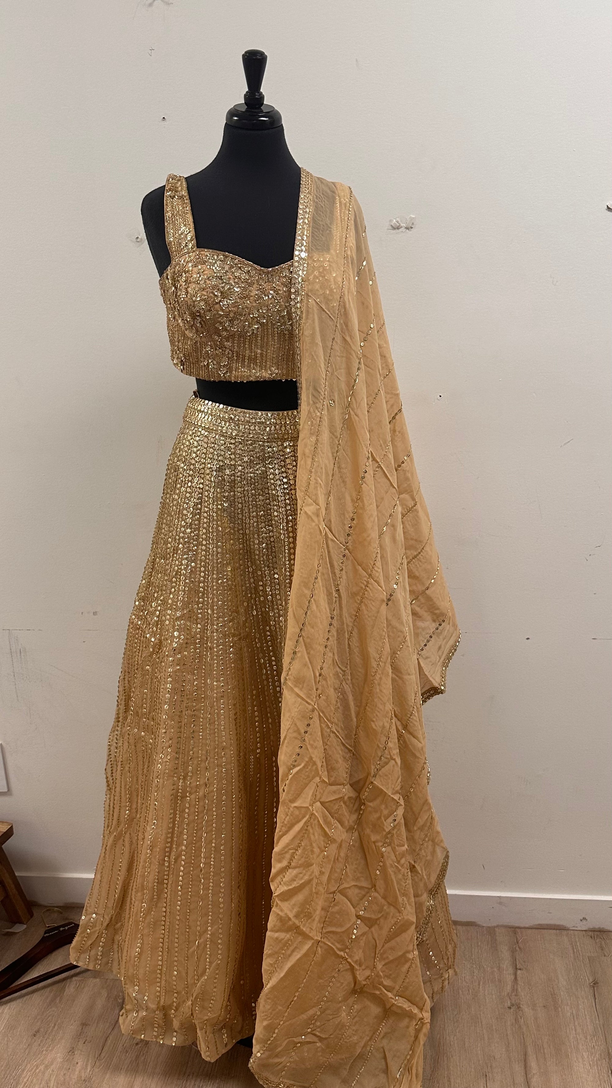 Shine So Bright Lehenga