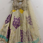 Banarasi Multi Coloured Lehenga