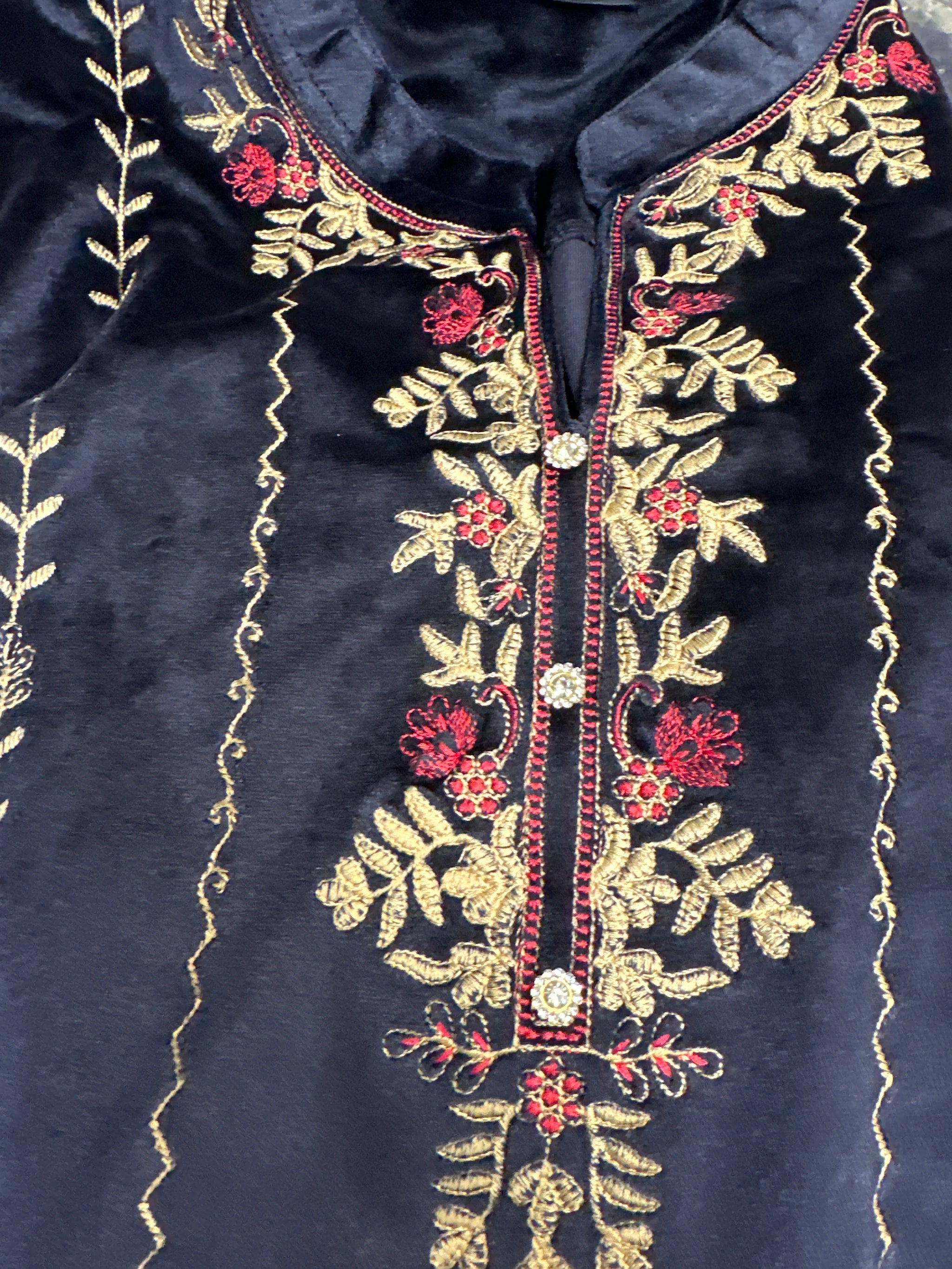 Velvet Suit with Thread Embroidery