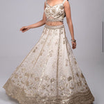 Graciously Embroided Lehenga