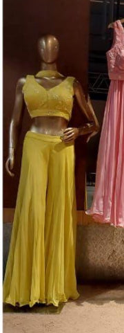 Crop top With Sharara and Neck Band