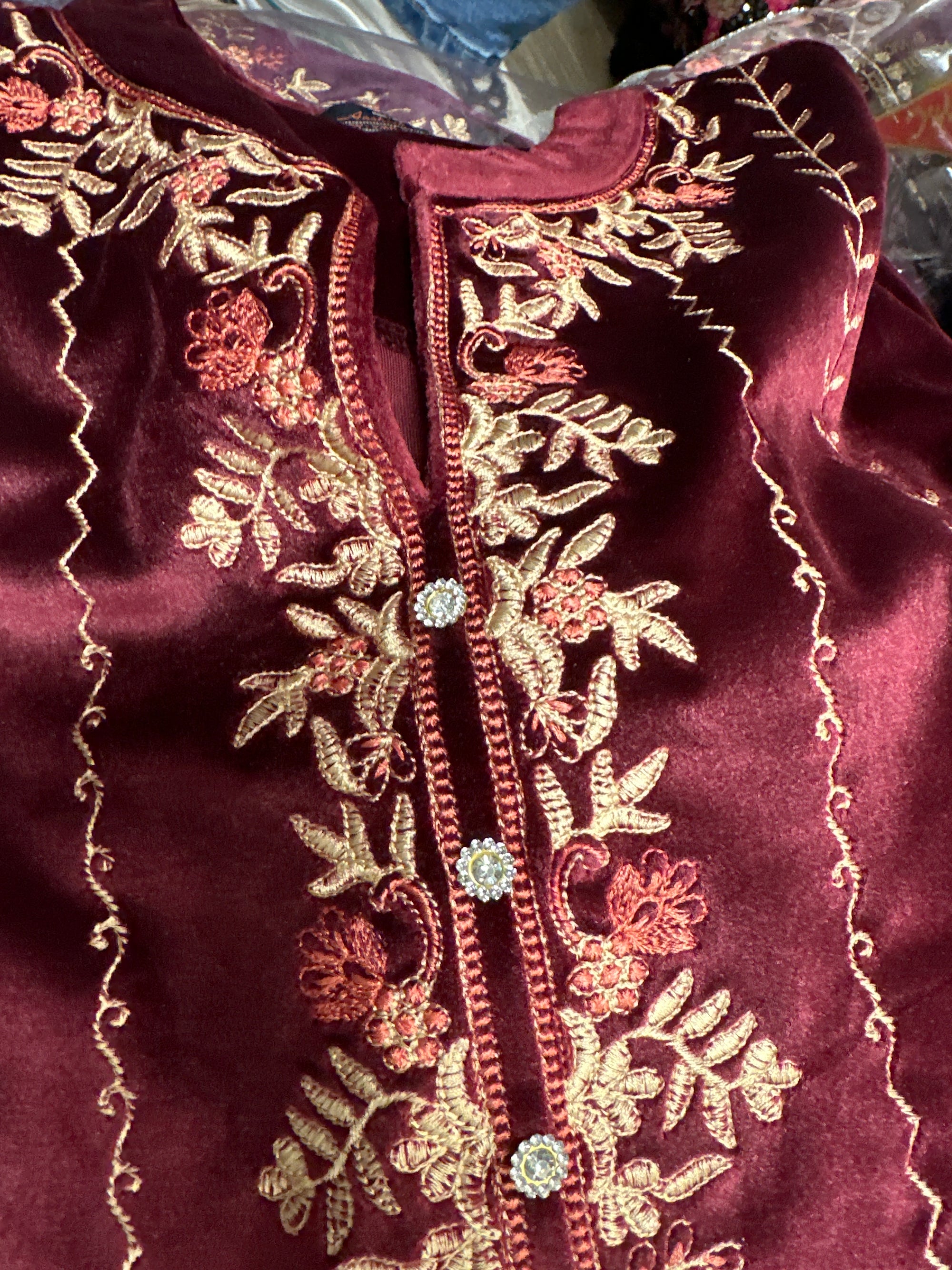 Velvet Suit with Thread Embroidery