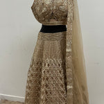 Ravishing Lehenga Set