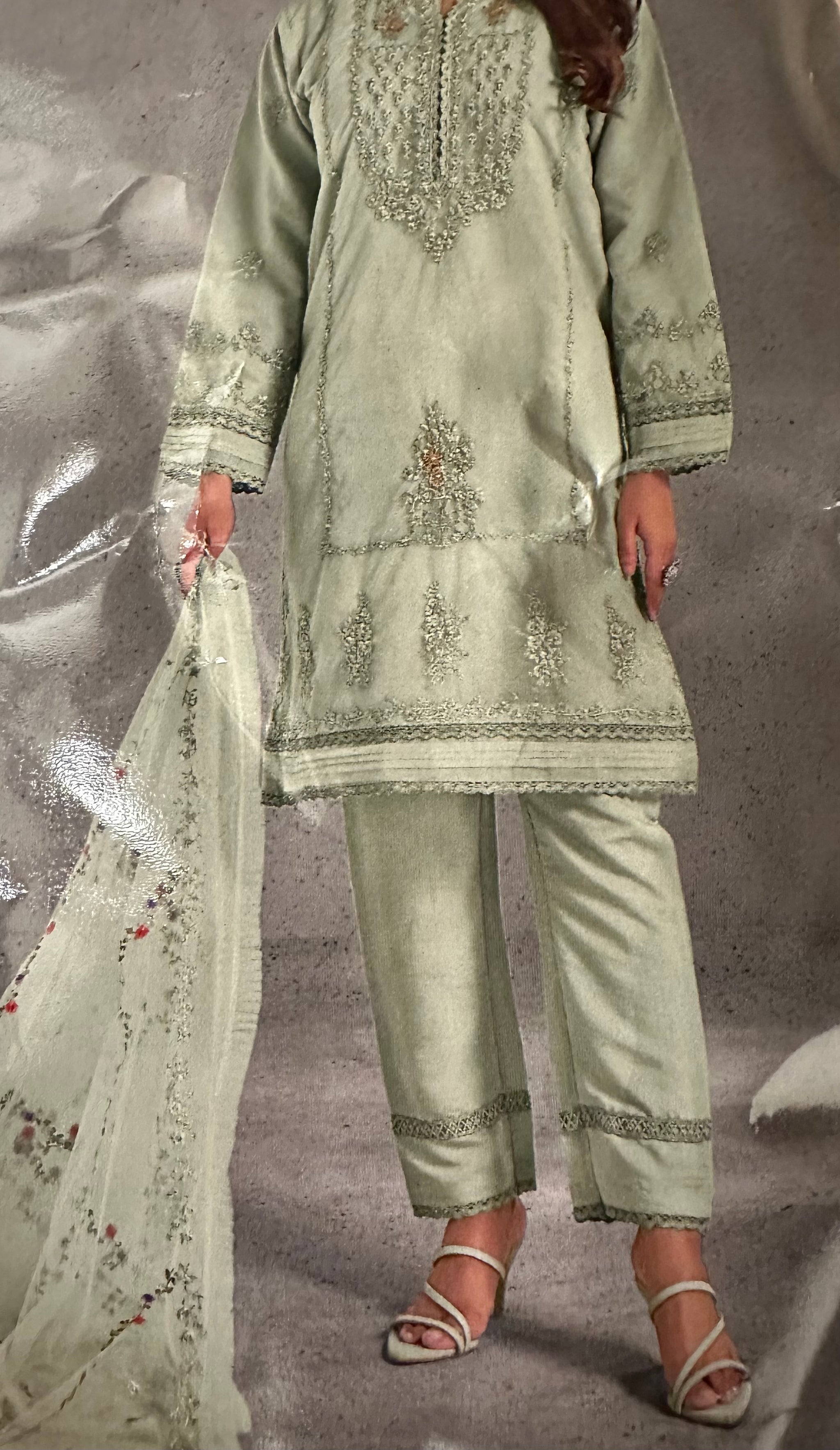 Tasteful Pakistani Pant Suit