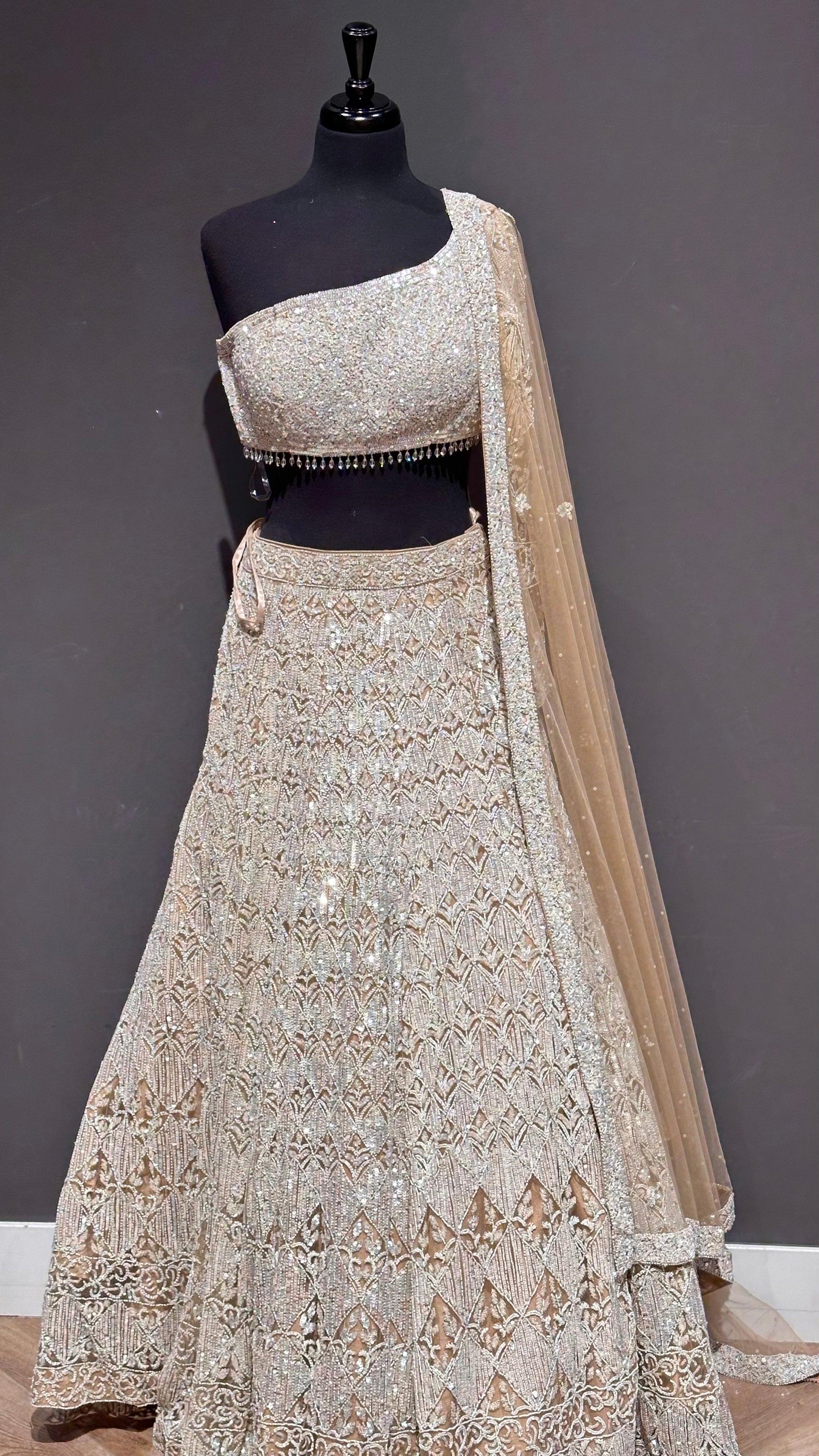 Embellished  Lehenga