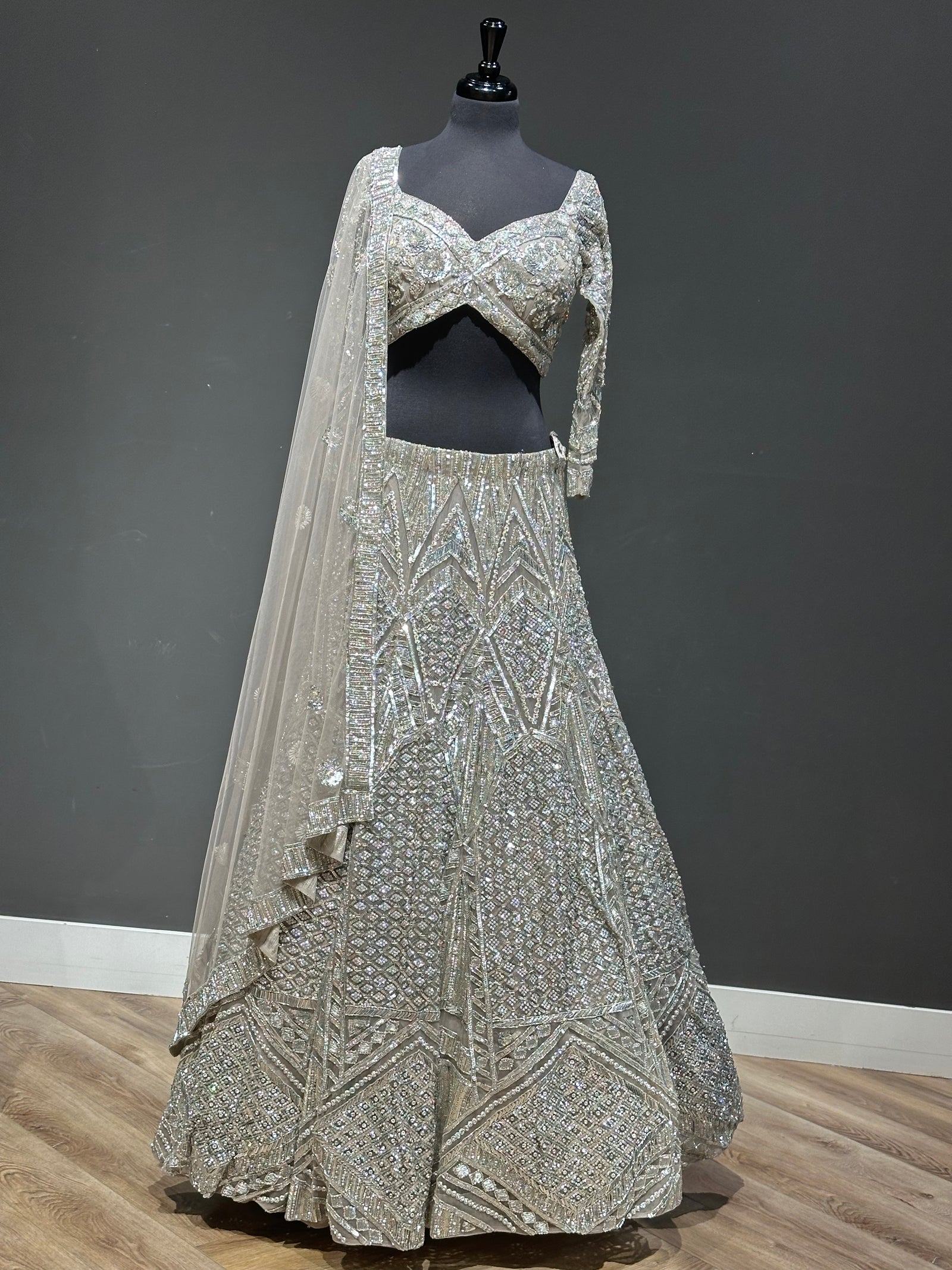 Hues Harmony Embellished Lehenga