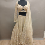 Divine Lehenga with Full Sleeves