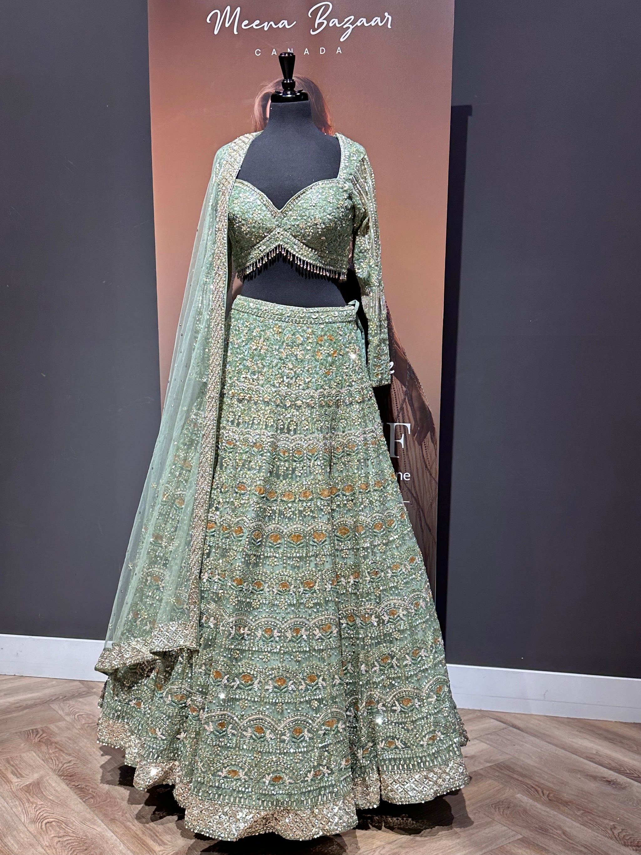 Charming Embellished Lehenga