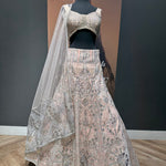 Enchanting Embellished Lehenga