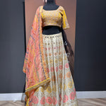 Stunning Multi Color Lehenga