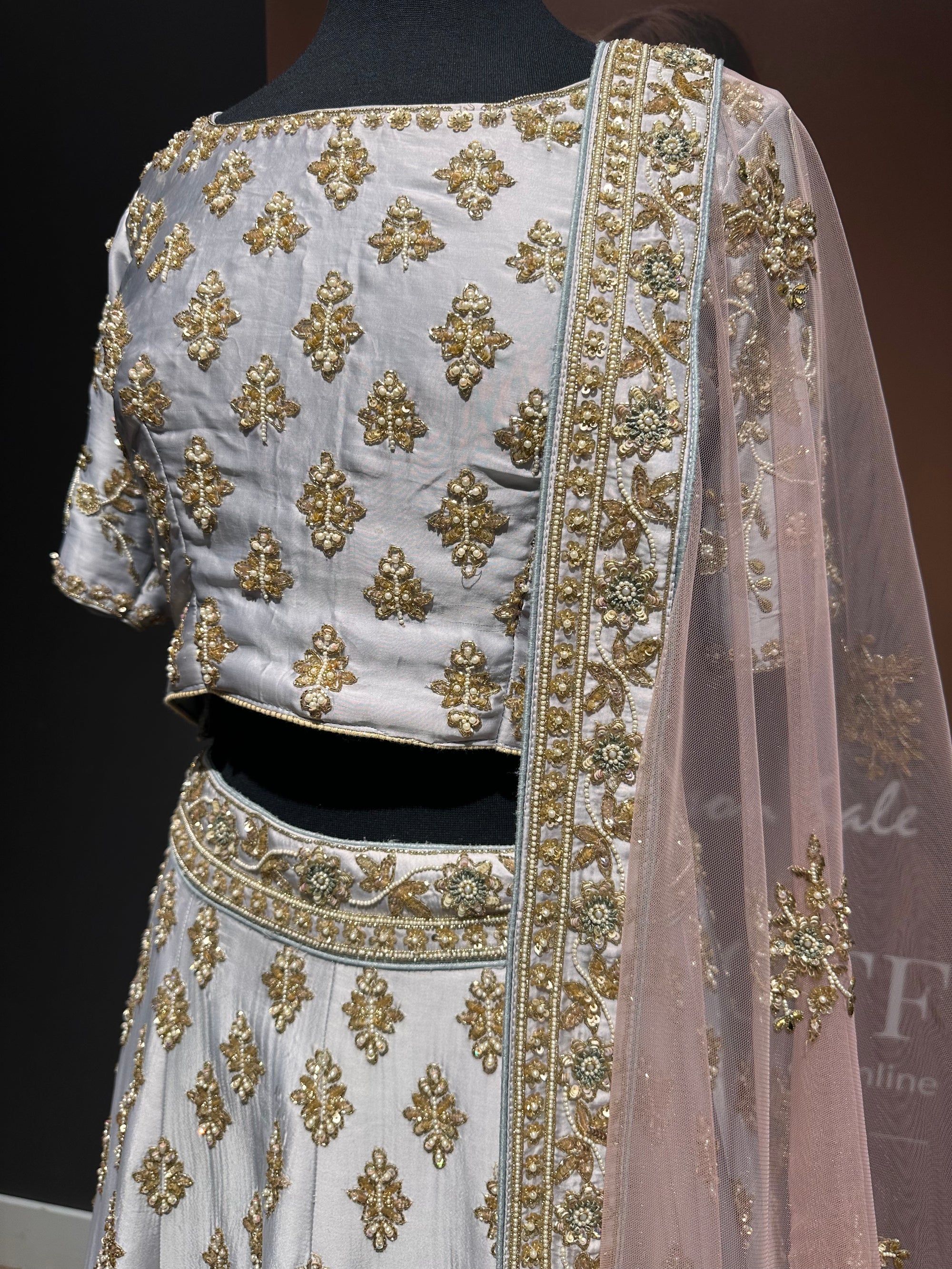 Regal Reverie Embellished Lehenga