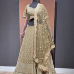 Olive Lehenga with Gold work