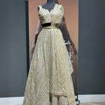 Gold and Silver Embellished Lehenga